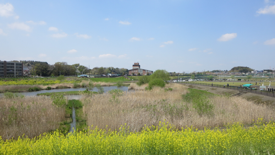境川・俣野遊水地