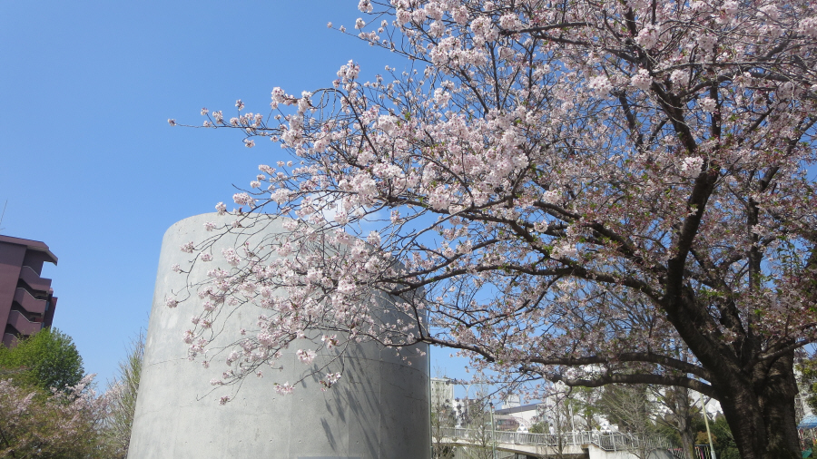 湘南台公園