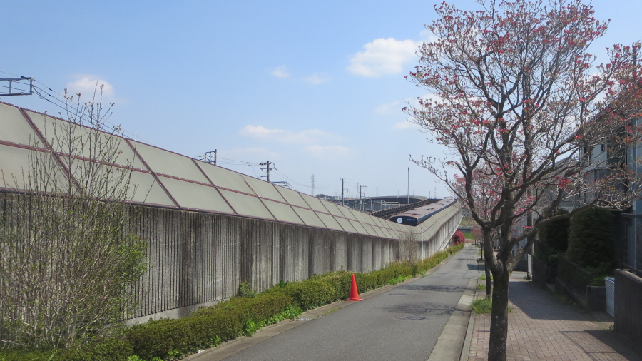 湘南台公園の東