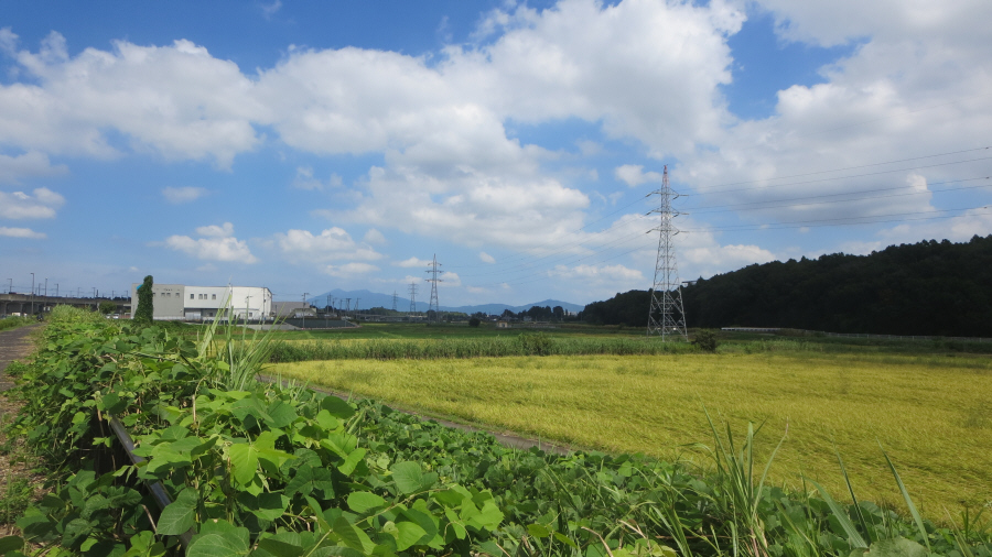 万博記念公園駅近くから筑波山