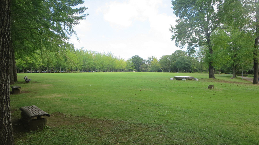 科学万博記念公園