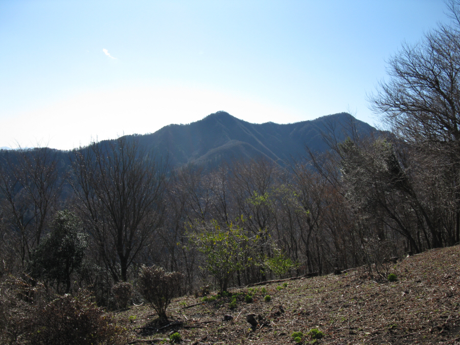 愛鷹山・黒岳から位牌岳、前岳
