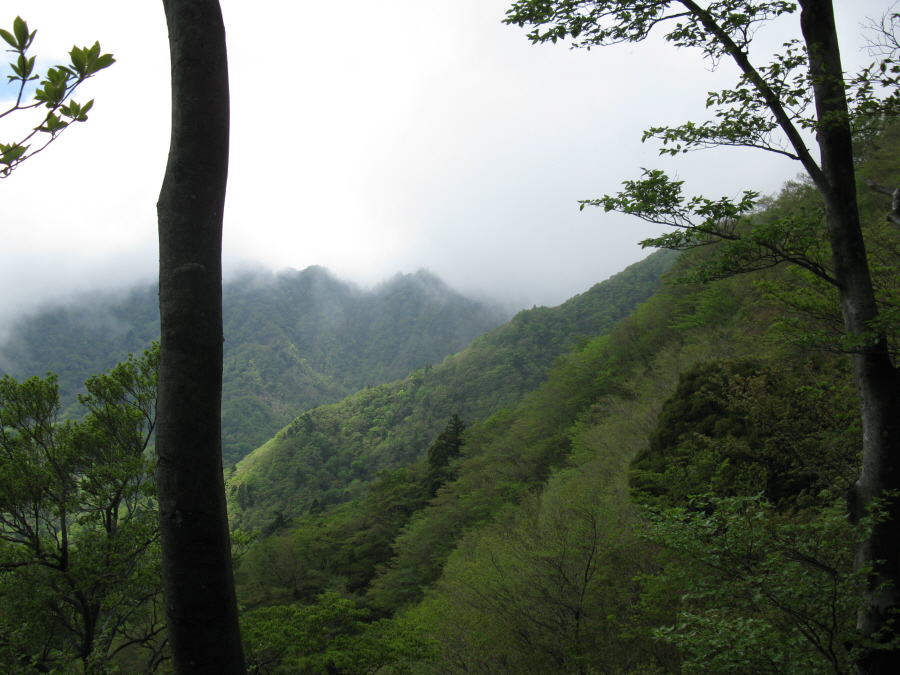 愛鷹山・富士見台手前の北白ガレン付近から