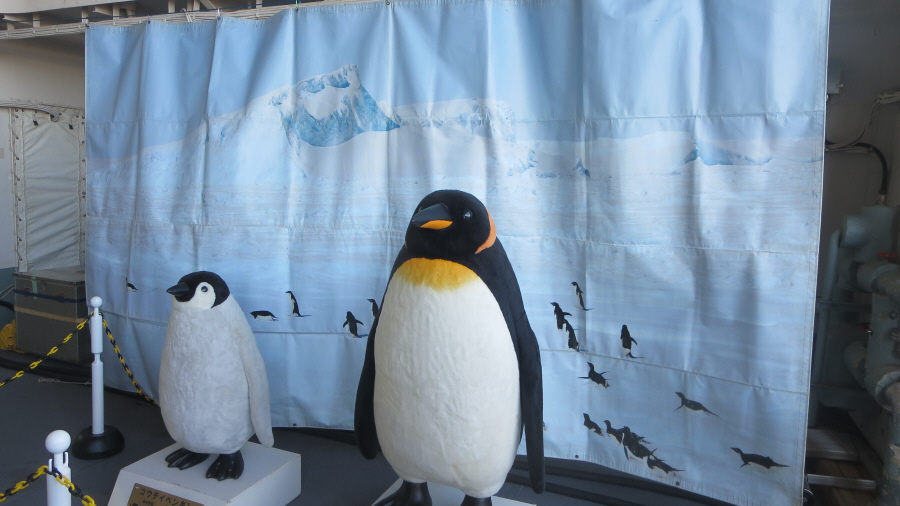 しらせ　ペンギン