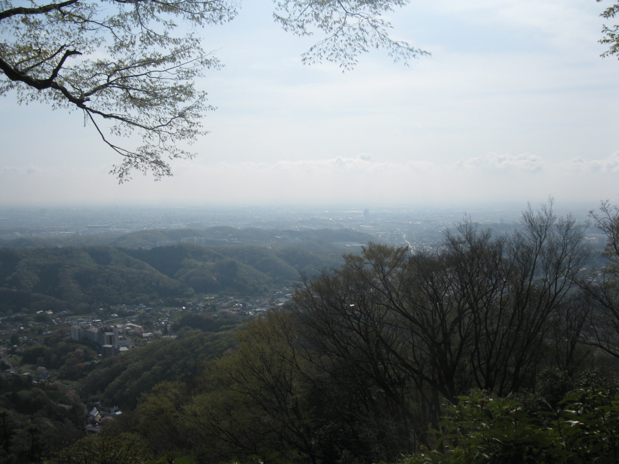 見城から厚木市街