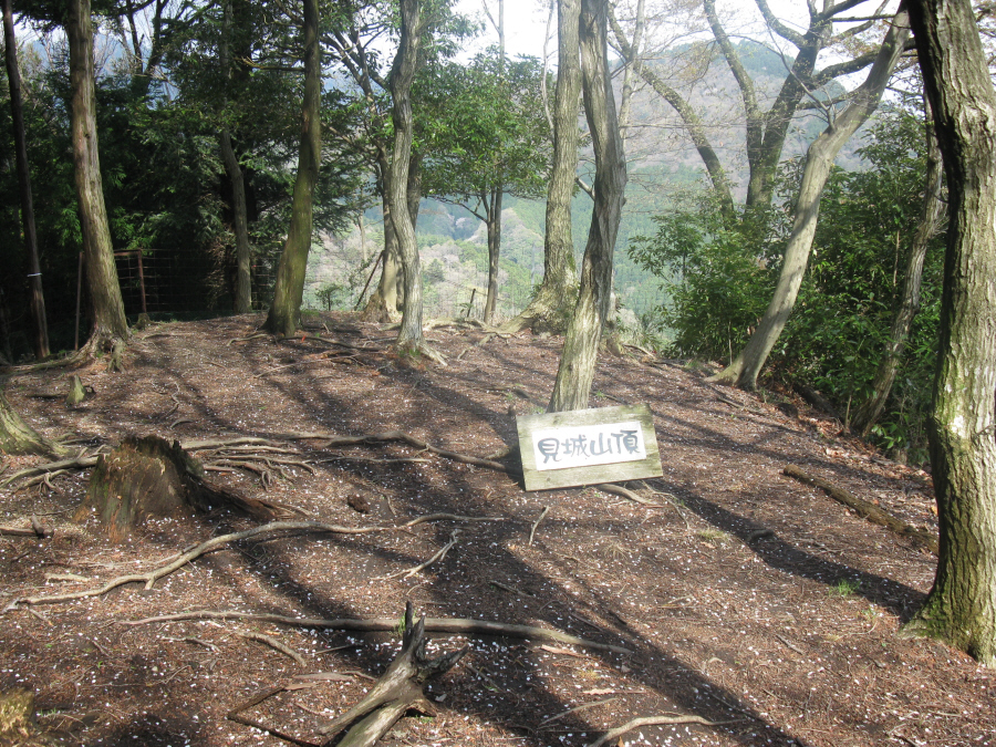 見城山頂