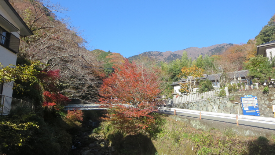 大山ケーブルバス停