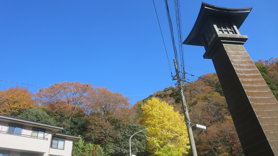 大山ケーブルバス停