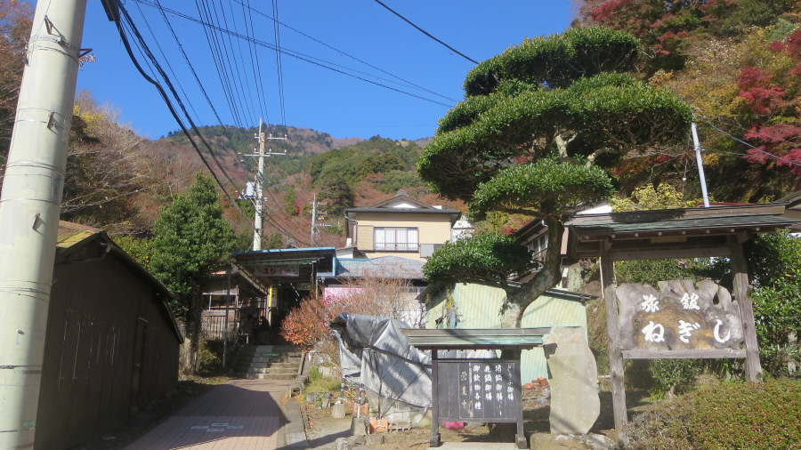 大山　こま参道