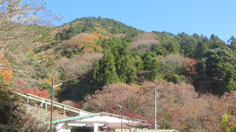 大山ケーブル駅