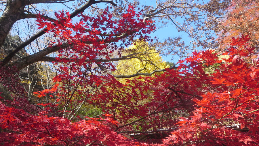 大山寺　前不動堂