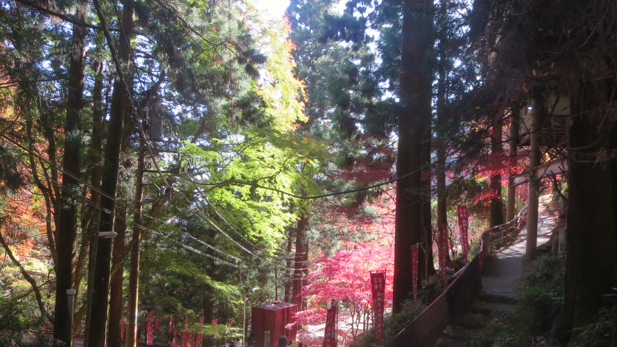大山寺　紅葉
