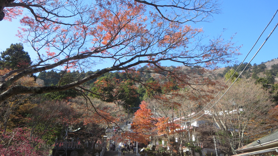 阿夫利神社　下社