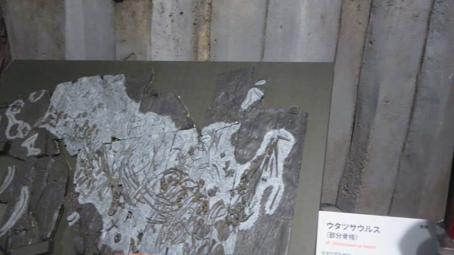 大絶滅展　ウタツサウルス
