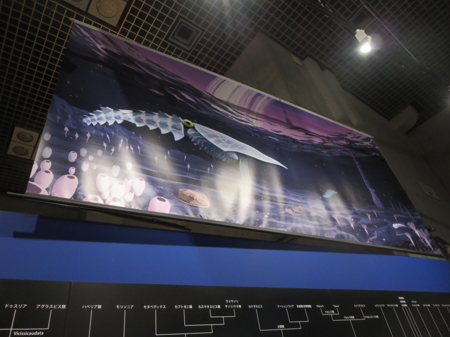 大絶滅展　エーギロカシスの絵