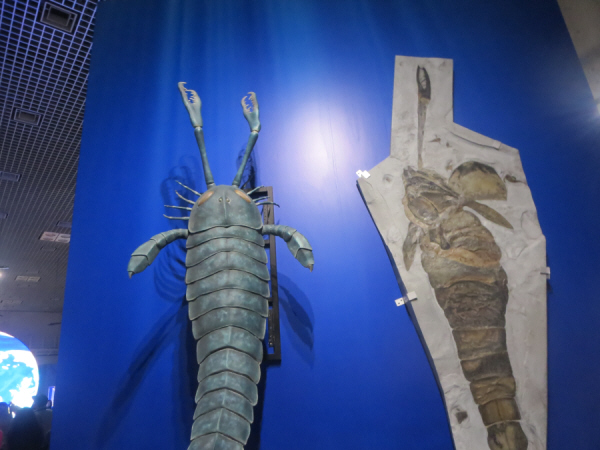 大絶滅展　アクティラムス