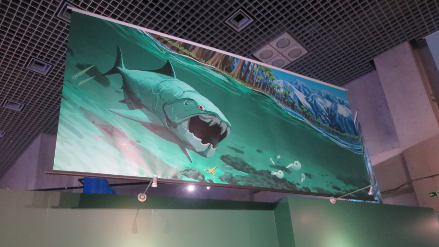 大絶滅展　ダンクルオステウスの絵