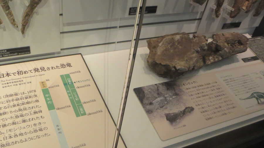 国立科学博物館　モシリュウ
