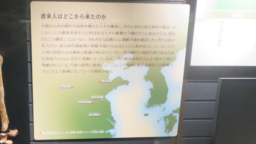 国立科学博物館