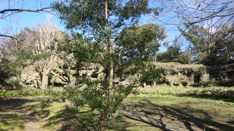 まんだら堂やぐら群