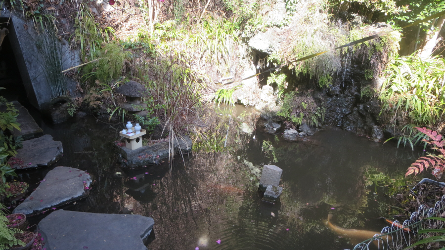 大綱金刀比羅神社