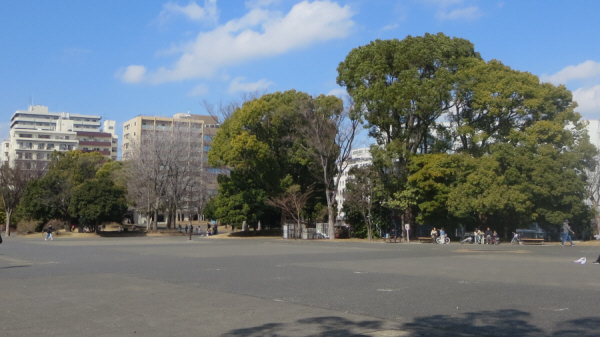 反町公園