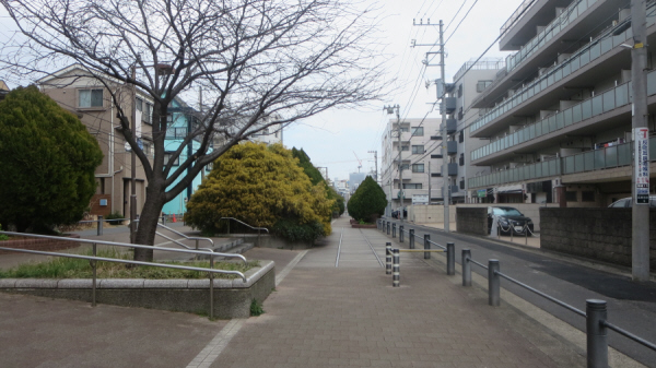 東横フラワー緑道