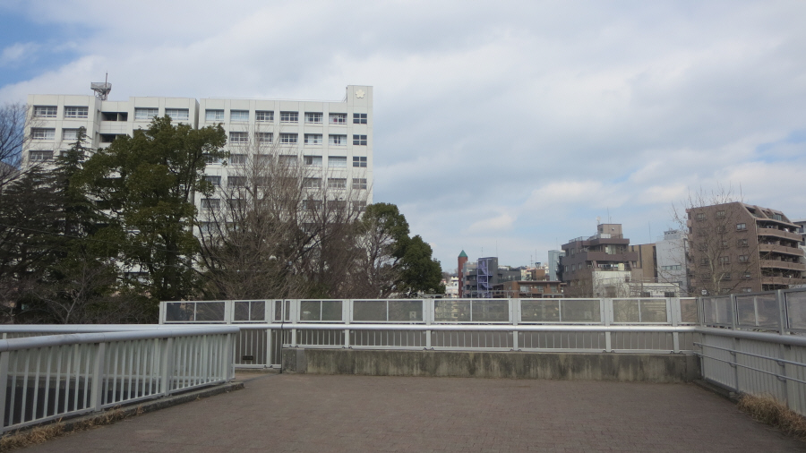 東横フラワー緑道